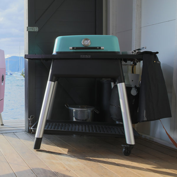 Kettler Everdure Force 2 Burner Gas BBQ Wayfair.co.uk